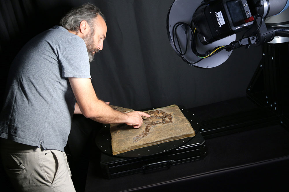 Ein Mitarbeiter der Grube Messel legt das Fossil unter den autonomen 3D-Scanner.